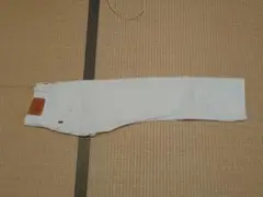 Item thumbnail for item c47e3679-f2dc-4474-a237-0a3902a95d44