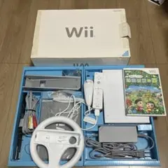本体 wii