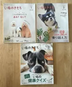 いぬのきもち 3点 2024年1月2月3月号　本誌のみのサムネイル