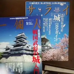 サライ 城安全ガイド　一個人　戦国武将の城入門
