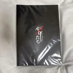 少年たち パンフレット