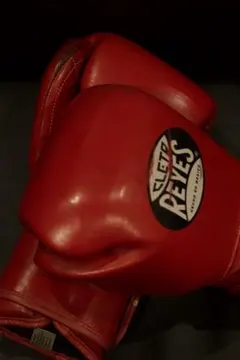 CLETO REYES ボクシンググローブ レッド CLETO REYES ボクシンググローブ プロフェッショナル レッド10オンス