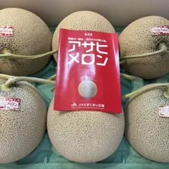 北海道アサヒメロン 