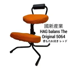 KOKUSHIN 國新産業 バランスチェア ジュニア姿勢サポート JUNIOR