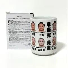 大相撲　琴恵光　尾車親方　引退相撲限定販売　湯呑み
