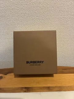 BURBERRY バーバリー 空箱 保存袋付き アクセサリーケース 箱のみ