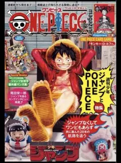 ワンピース ワンピース カードゲーム