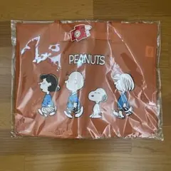 Item thumbnail for item 0210f9d2-f334-47c2-ab53-84d18a58d2b7