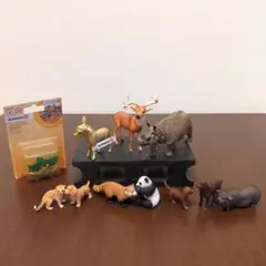 2025年最新】シュライヒ 動物 セットの人気アイテム - メルカリ
