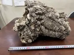 s19t03z様 リクエスト 2点 まとめ商品