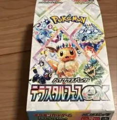 テラスタルフェスex 10パック