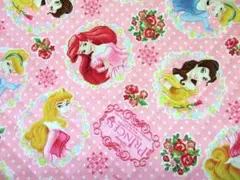 Q　プリンセス2点キルティング生地セット限定販売