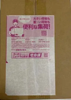 シュリンク付き ポケモンカードMEGA ハイクラスパック ドリームex 1BOX