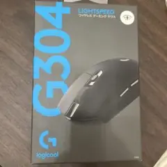 g304