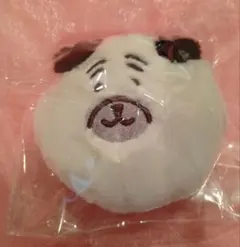ナガノキャラクターズ ぬいぐるみくじ マスコットバッジ パグ