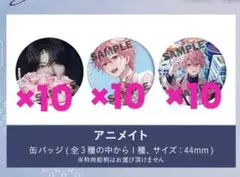 さとみ 2nd Full Album『S’s』 アニメイト特典缶バッジ30個