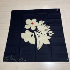 パラスパレス　風呂敷