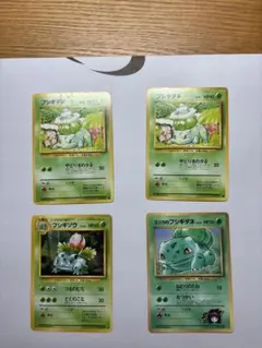フシギダネ　フシギソウ　旧裏　ポケモンカード