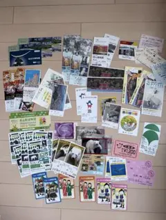 ⭐︎［使用済み］日本国内観光チケット