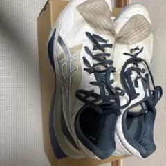 Item thumbnail for item 965cf4b4-fe78-4dec-afd8-4f3df8805df7