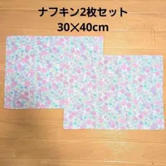 ハンドメイド102.ナフキン2枚セット　ランチョンマット　入学準備入園準備
