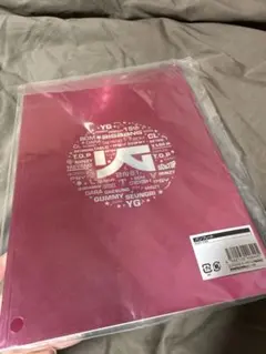 YG FAMILY CONCERT パンフレット　BIGBANG 2NE1のサムネイル