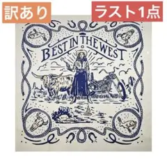 バンダナ　ヴィンテージ風　ワイルド　ウエスタン　カウボーイ柄　白　正方形
