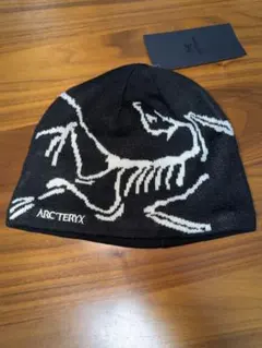 2026年最新】始祖鳥 化石の人気アイテム - メルカリ