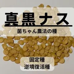 つっかー3様 リクエスト 2点 まとめ商品