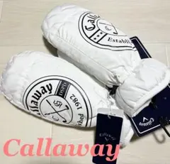 Item thumbnail for item 796deca8-032e-4360-baed-f2e308dff5a7