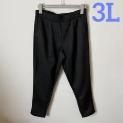 大きいサイズ3l