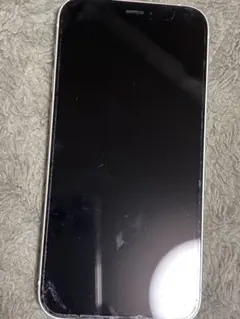 Apple iPhone 12本体