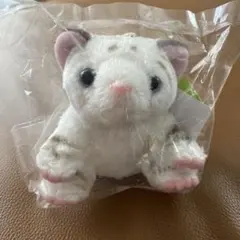 東武動物公園 ホワイトタイガー ぬいぐるみ キーホルダー - メルカリ