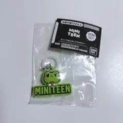 MINITEEN ミニティーン めじるしアクセサリー THE8 ミンハオ