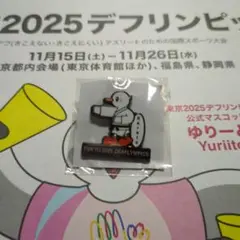 非売品　東京2025デフリンピック　競技　空手　ピンバッジ
