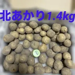 北あかり　1.4kg 2S〜3Sサイズ　農薬不使用のサムネイル