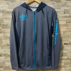 Item thumbnail for item 63fa5b75-fae5-48b8-8f30-d22eec817de1