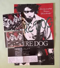 斉藤和義　大きなポスター? / 写真　 額縁 非売品 貴重  約52×36cm 2025年最新】斎藤和義ポスターの人気アイテム - メルカリ