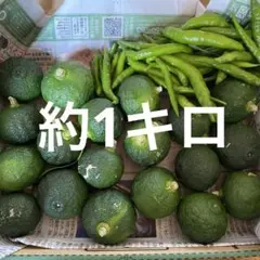 柚子胡椒セット　（青柚子）のサムネイル