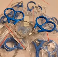 Item thumbnail for item 8e57b1ec-e334-425a-a16d-4310055214ff