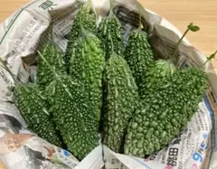 まちゃん様 リクエスト 2点 まとめ商品