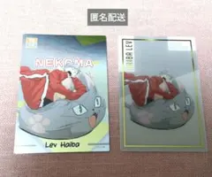 灰羽リエーフ　カードまとめ売り　ハイキュー!!