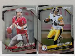 Brad Johnson ＆ Hines Ward PANINI NFL 25