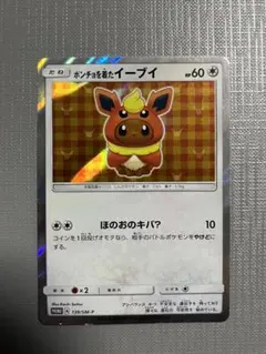 ポンチョを着たイーブイ（ブースター） 139/SM-Pプロモカードのサムネイル