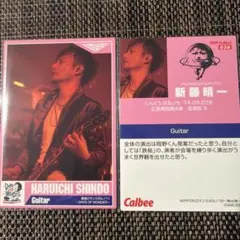 ポルノグラフィティチップス プレミアムキラカード - メルカリ
