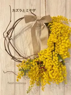 putti様 リクエスト 2点 まとめ商品