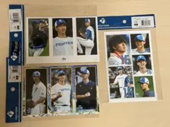 日ハム郡司裕也 ハイライトフォト - メルカリ