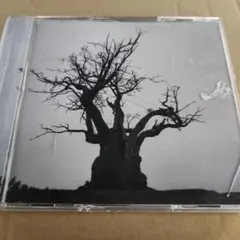 (最終価格)　SEKAI NO OWARI 2010-2019　レンタル