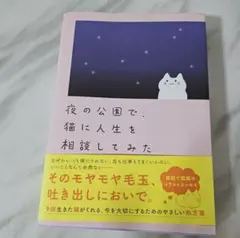 夜の公園で、猫に人生を相談してみた