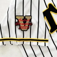 阪神タイガース 刺繍ワッペン 2025 CENTRAL V 小